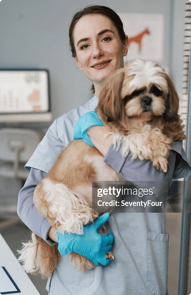 A female veterinarian wearing gloves holds a small, fluffy dog in a clinic setting.