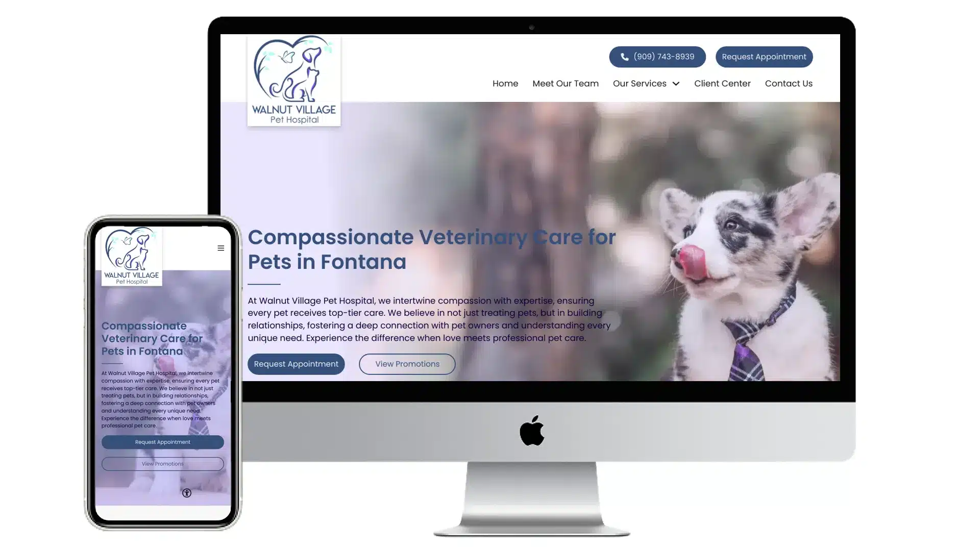 Walnut Village Pet Hospital